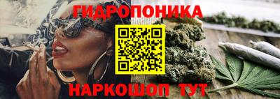 гидропоника Кунгур