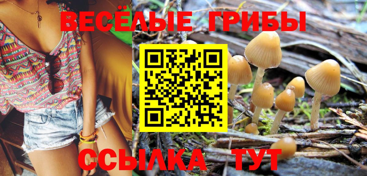Карталы  Псилоцибиновые грибы Psilocybe  купить наркоту  Вход с VPN 
